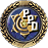 File:V badge PPD.png