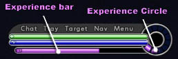 File:UI Experience Bar.jpg