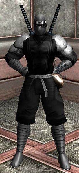 File:Mastermind Ninjas Jounin.jpg